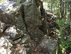 �[�������t�̋}�Ζ�