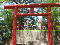 �[�������t�̋}�Ζ�