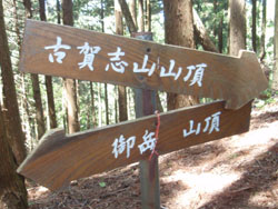 ����̕W��