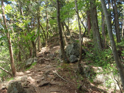 �É�u�R�ւ̔�����