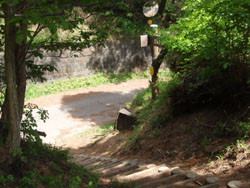 �A�X�t�@���g�̓�