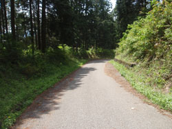 �A�X�t�@���g�̓�