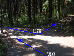 ����ė������ɍ��܂����ꏊ