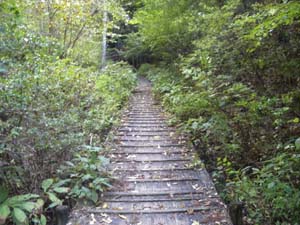 ���}�Ȗؓ�