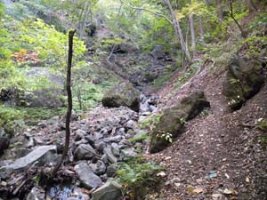 �����₩��̓o�R���B