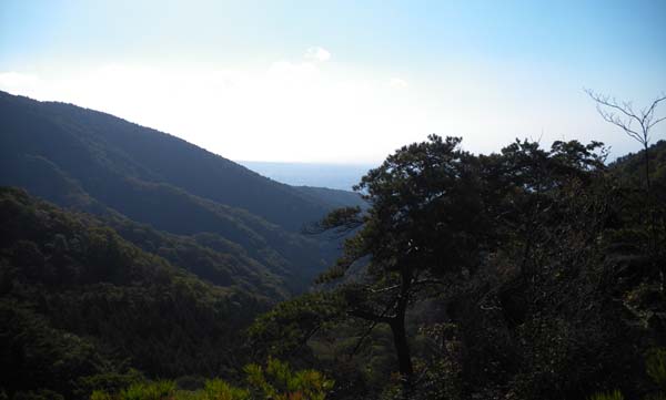 �����₩��̒���