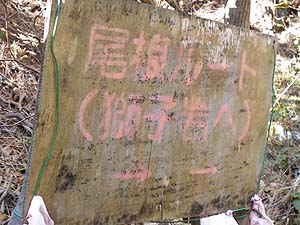 ����̕W��