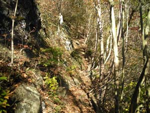 ���򂩂�̓o�R���B