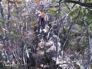 �₹�C���̔���