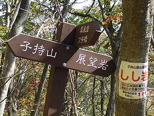 ����̕W��