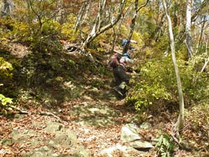 ���\�ȋ}��