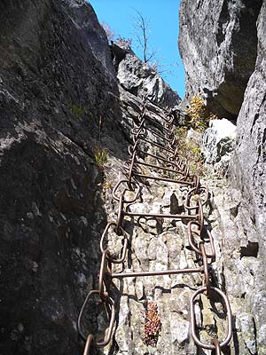 �����̍��̃n�V�S