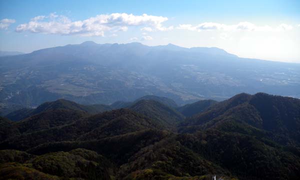 �����₩��̒���