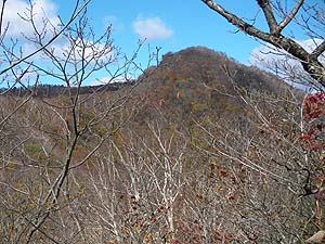 ���؃���