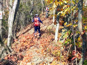 �������͑����`�`