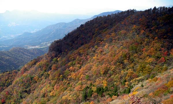 紅葉も良い感じ?