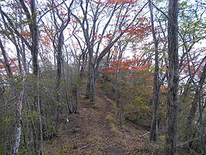 ��Ԃ���̓o�R���B