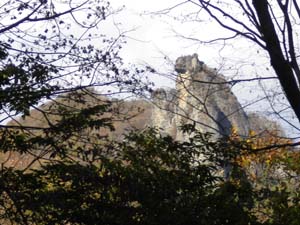 ������̉���