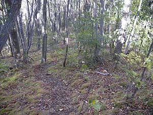 �o�R���́A�X�ɎΓx�𑝂�