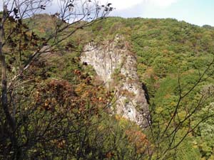 ������������Ă����B