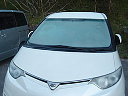 �t�����g�K���X�͑�