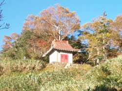 �����_��