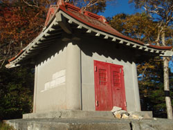 �����_��