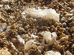 ��������������