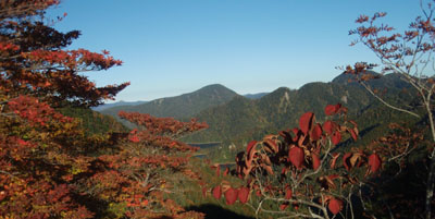 �Q�n���ʂ̌i�F