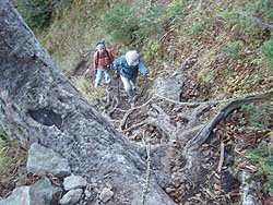 ���[�v�̂���}��