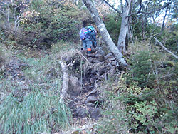 ���[�v�̂���}��