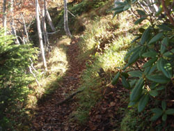 �R������̉��R��