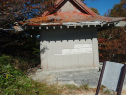 �����_��