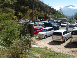 �c�㎼���̖ؓ���i��