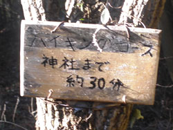 �O�R������V�Q���̊Ŕ�