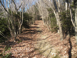 ��������̗ǂ�������