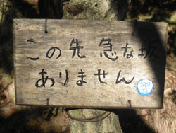 ���̐�}�ȍ�@���̂܂���