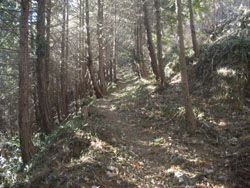 �⓹�͂��}�H