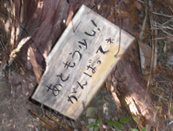 ���Ƃ��������I ����΂��ăl