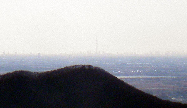 �����X�J�C�c���[