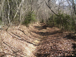 ��������̗ǂ�������