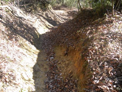 �Q���͑�J���~��Ɛ�ɕς��H