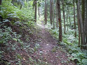 �o�R���ۂ���