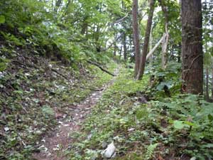 ���}�ȓo�R��