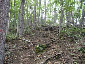 ���}�ȓo�R��