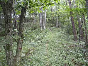 ���M��i�ށB