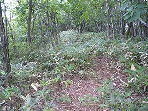 �R�����瑱���o�R���B