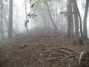 �z�ΎR�R��(1205m)