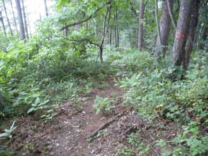 �g�C��(��2�x�e���H)����̓o�R���B