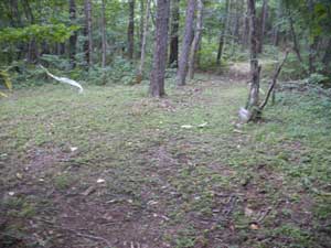 �x�e����ʉ߁`